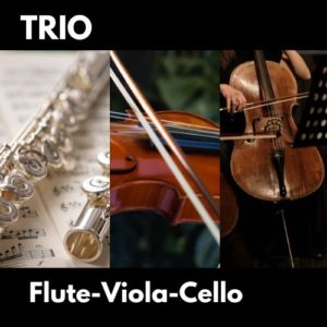 ３重奏　フルート・ヴィオラ・チェロ